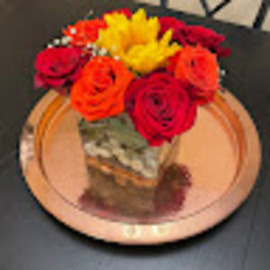 Meet your Posher, Tania